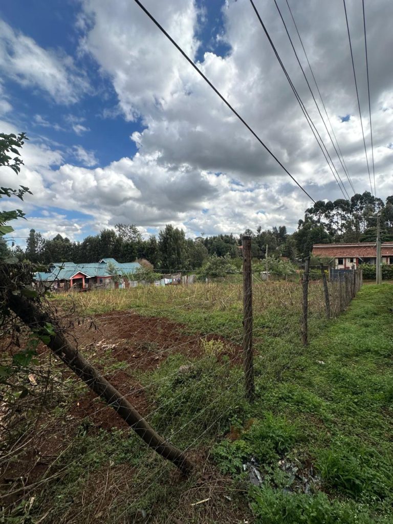 WhatsApp Image 2026 03 13 at 10.45.49 AM