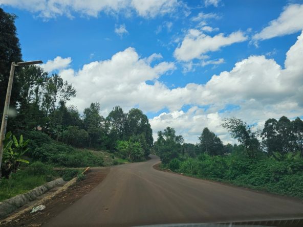 WhatsApp Image 2026 03 13 at 11.21.53