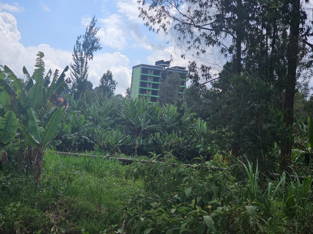 WhatsApp Image 2026 03 13 at 11.21.57