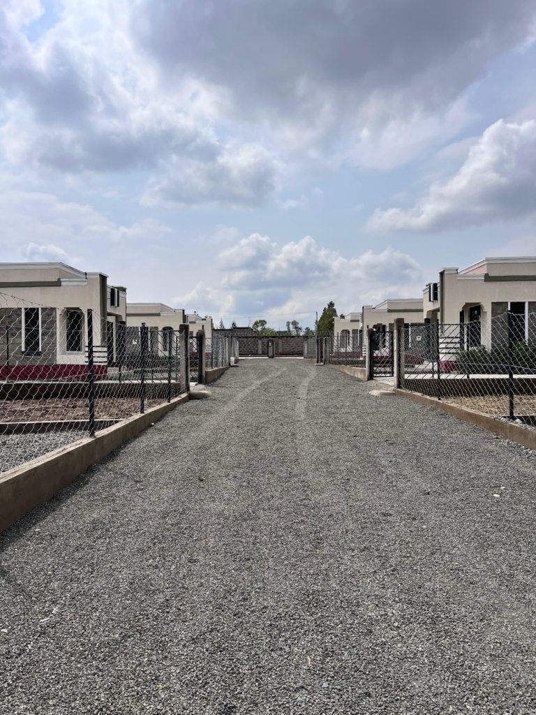 WhatsApp Image 2026 03 13 at 11.49.23 AM 3