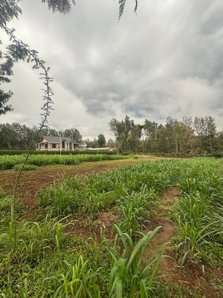 WhatsApp Image 2026 03 13 at 12.15.41 PM 3