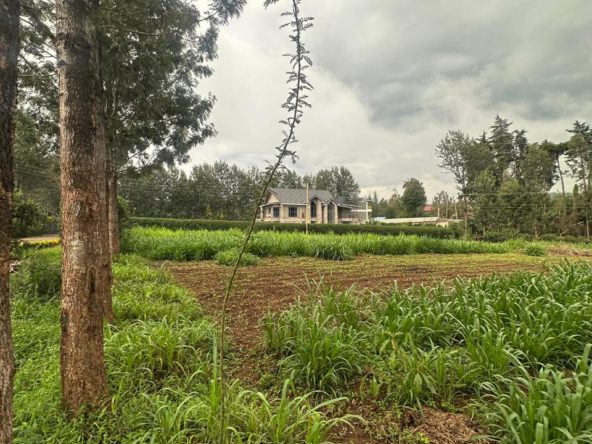 WhatsApp Image 2026 03 13 at 12.15.41 PM 4