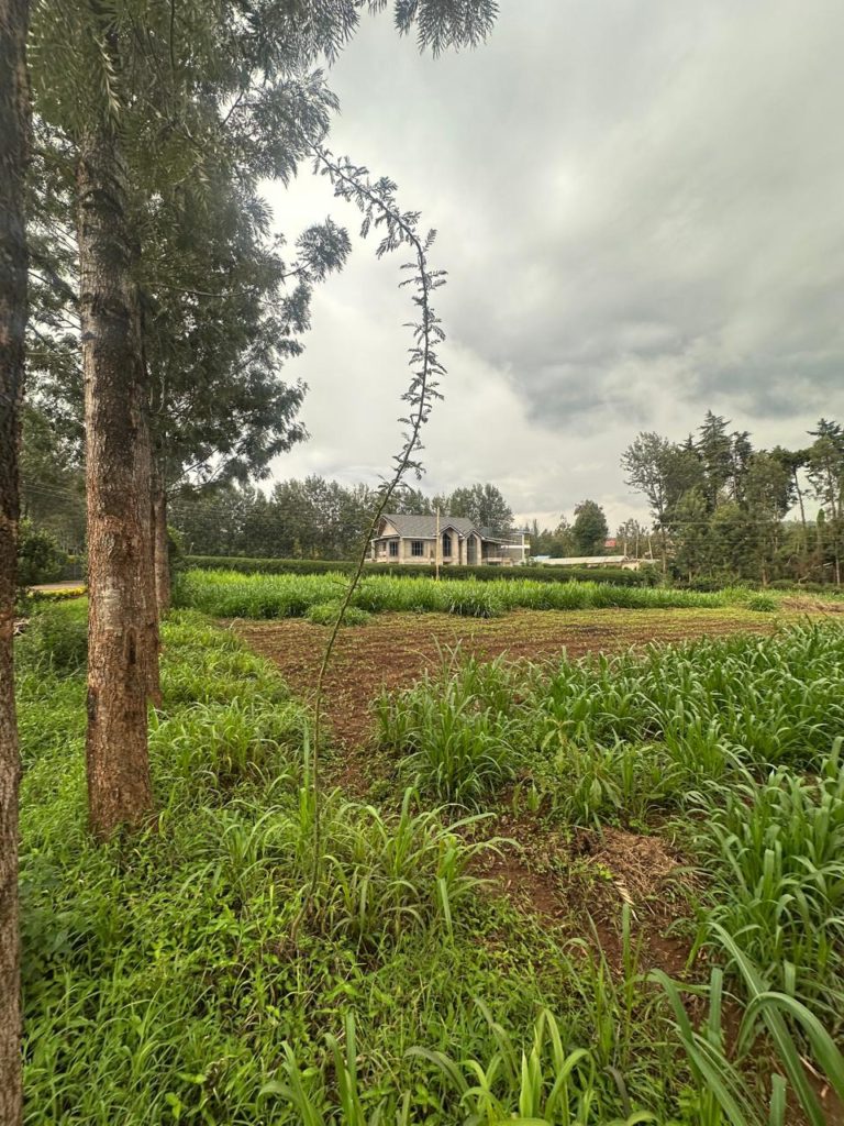 WhatsApp Image 2026 03 13 at 12.15.41 PM 4