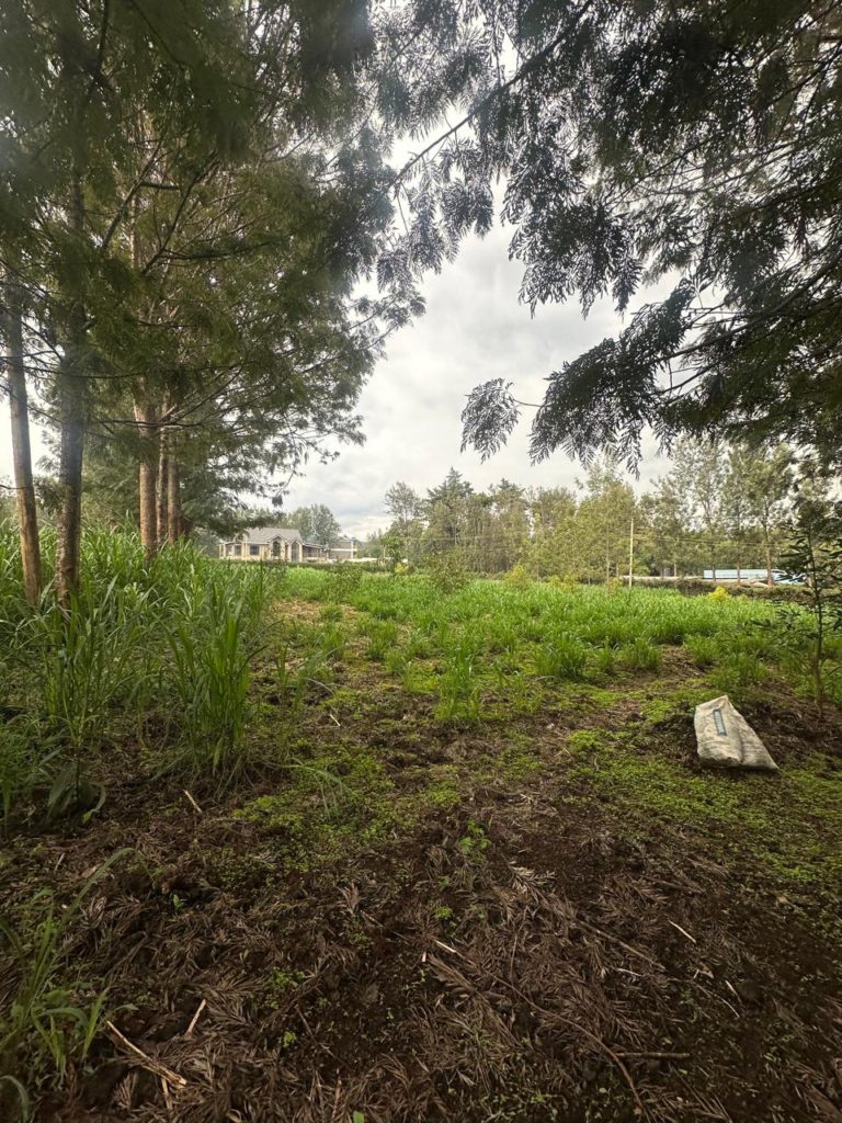 WhatsApp Image 2026 03 13 at 12.15.41 PM 8