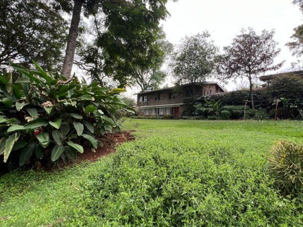 WhatsApp Image 2026 03 13 at 9.27.36 PM 1