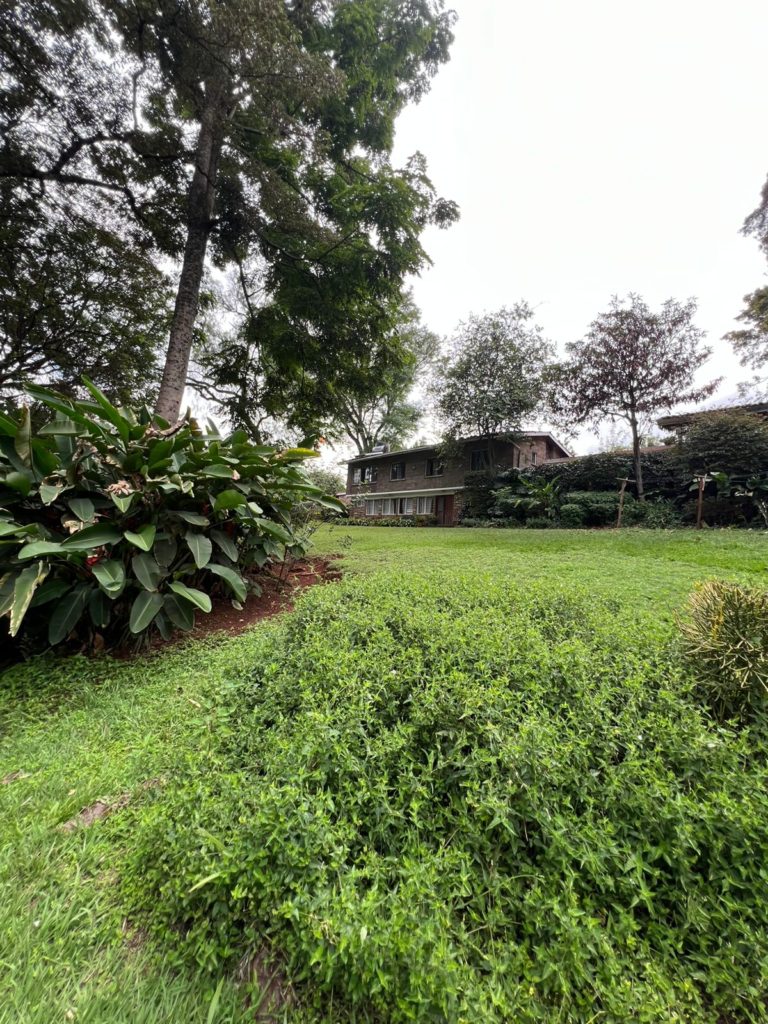 WhatsApp Image 2026 03 13 at 9.27.36 PM 1