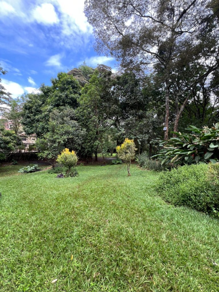 WhatsApp Image 2026 03 13 at 9.27.38 PM 1