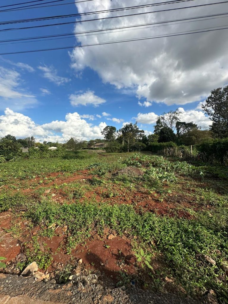 WhatsApp Image 2026 03 13 at 9.32.50 AM 1