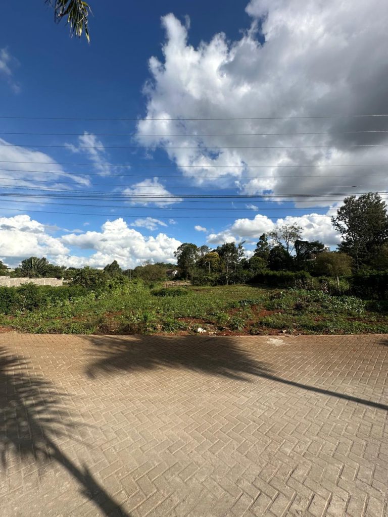 WhatsApp Image 2026 03 13 at 9.32.51 AM 2