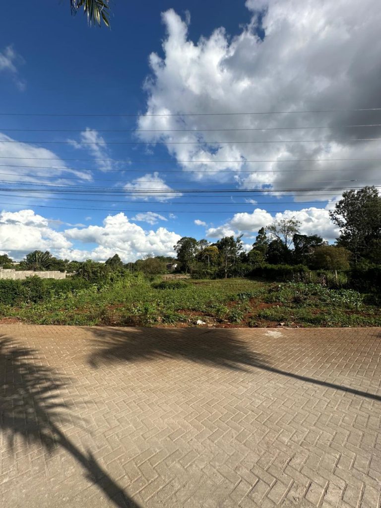 WhatsApp Image 2026 03 13 at 9.32.51 AM 3