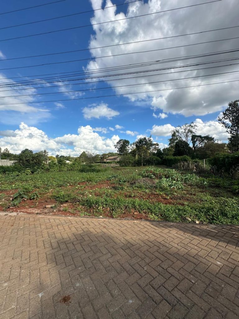 WhatsApp Image 2026 03 13 at 9.32.51 AM