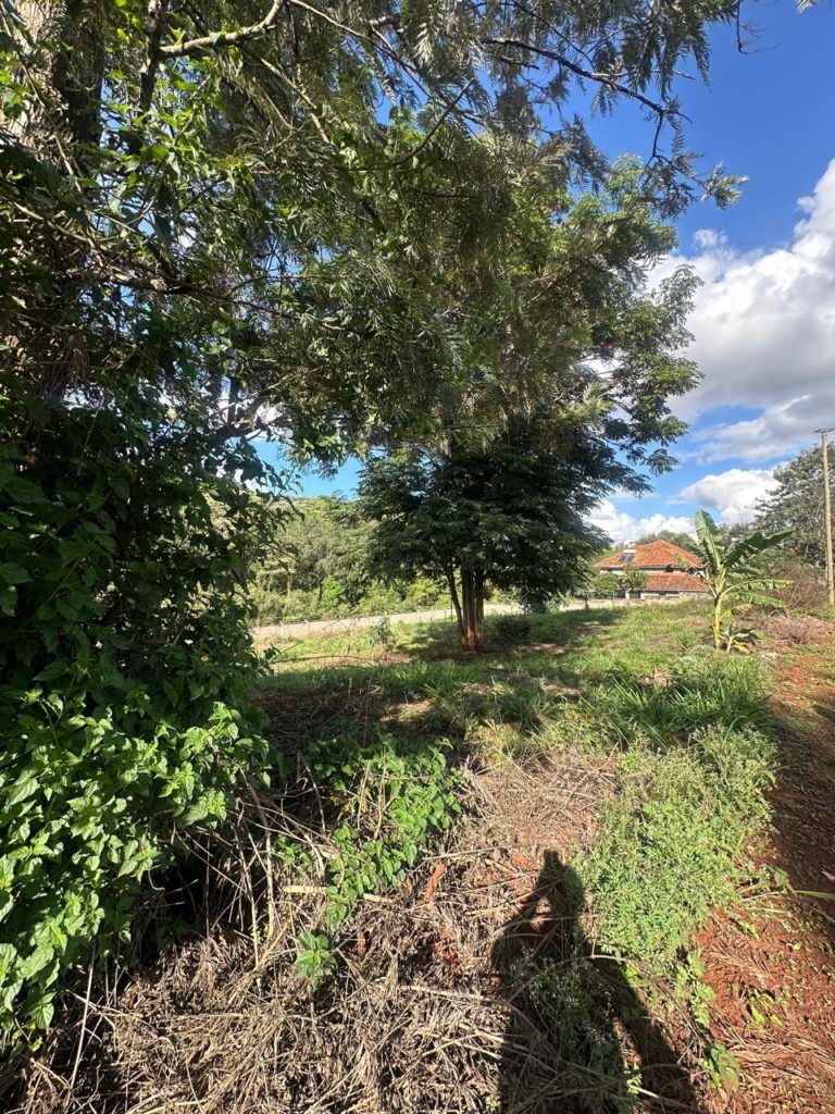 WhatsApp Image 2026 03 13 at 9.48.22 AM 1