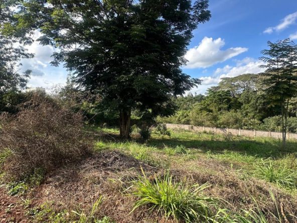 WhatsApp Image 2026 03 13 at 9.48.23 AM 2