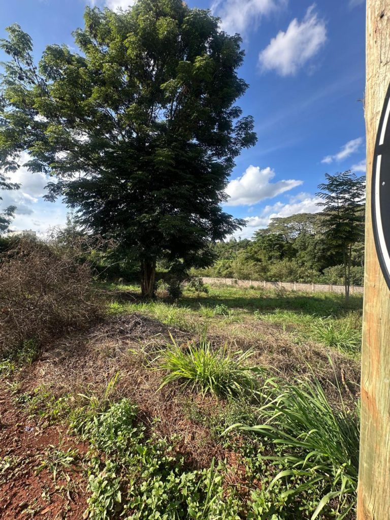 WhatsApp Image 2026 03 13 at 9.48.23 AM 5