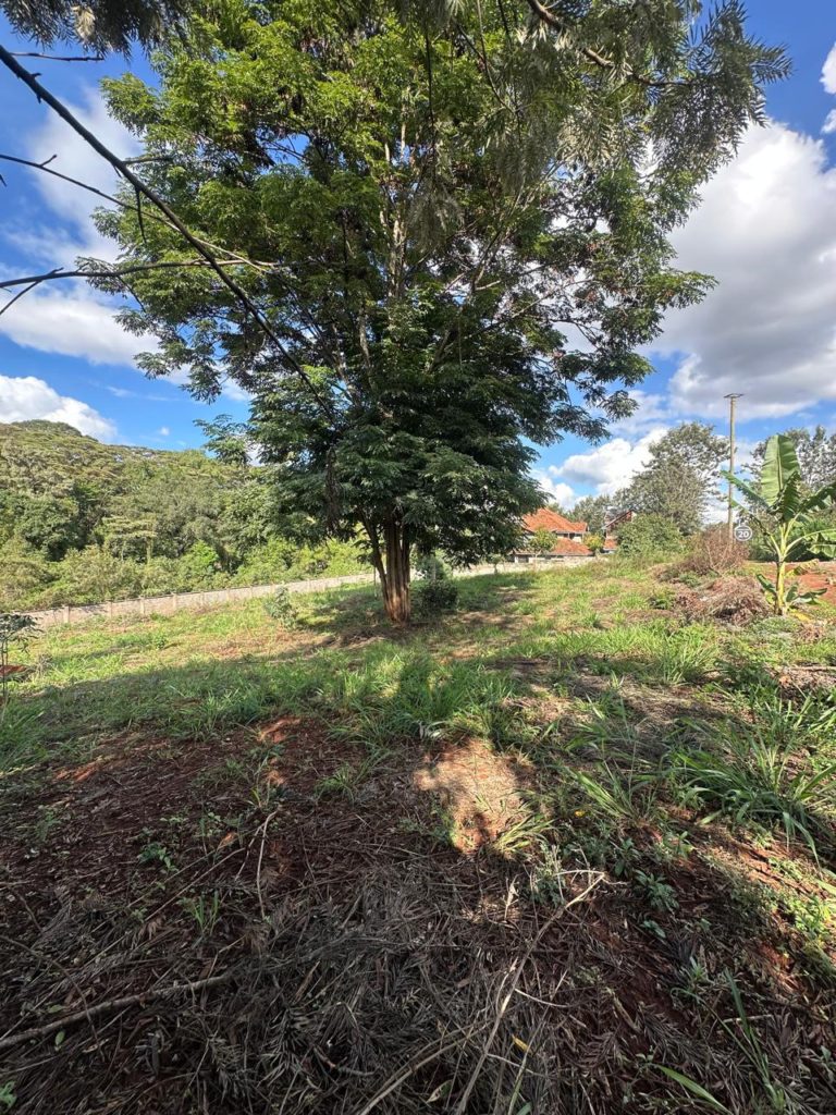 WhatsApp Image 2026 03 13 at 9.48.24 AM 1