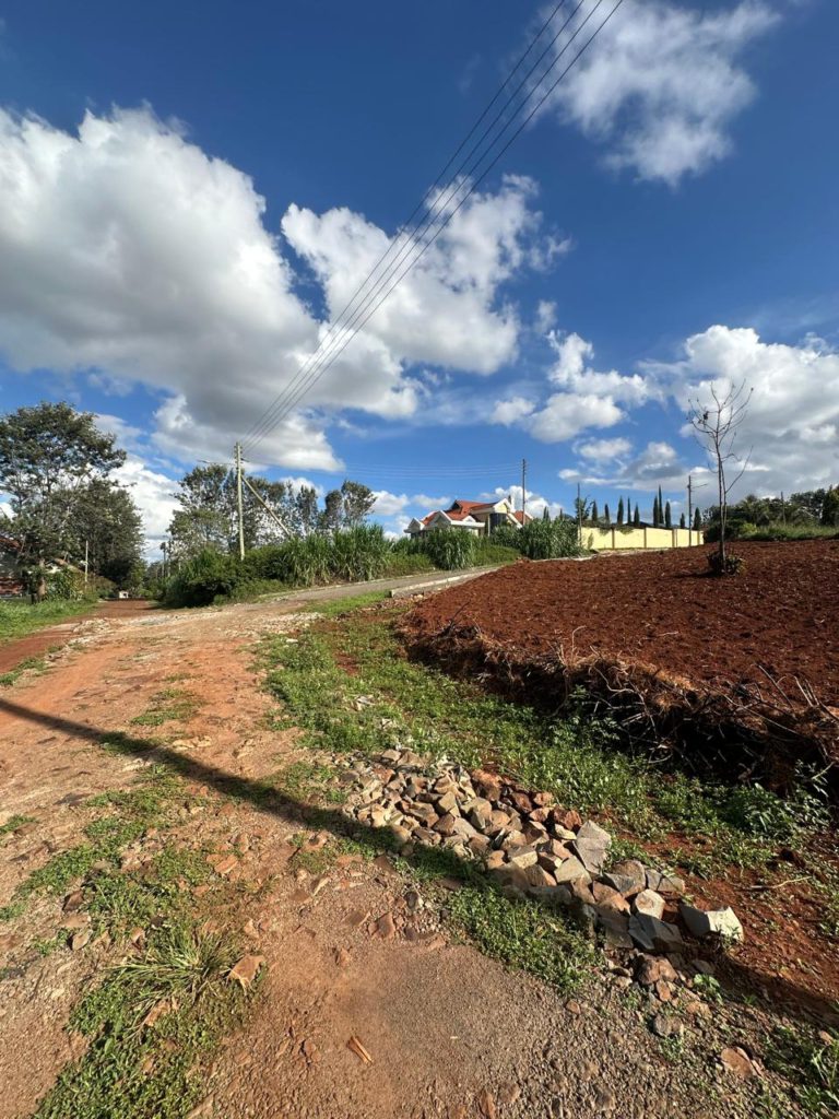 WhatsApp Image 2026 03 13 at 9.48.24 AM 3