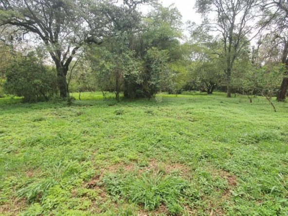 WhatsApp Image 2026 03 18 at 10.17.37 AM 1