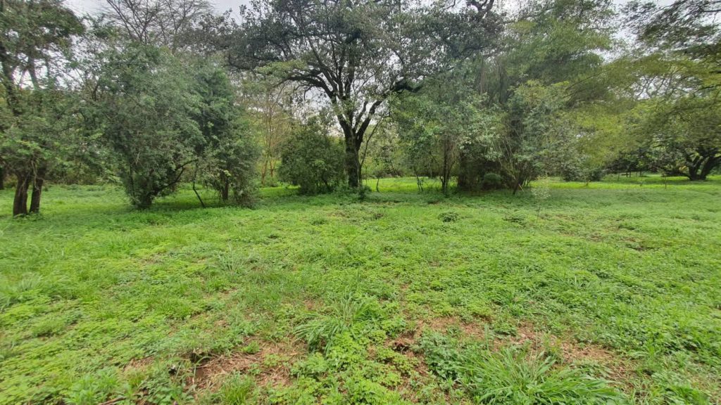 WhatsApp Image 2026 03 18 at 10.17.37 AM 2