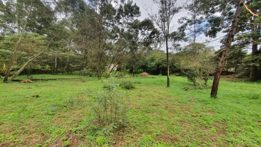 WhatsApp Image 2026 03 18 at 10.17.38 AM 2