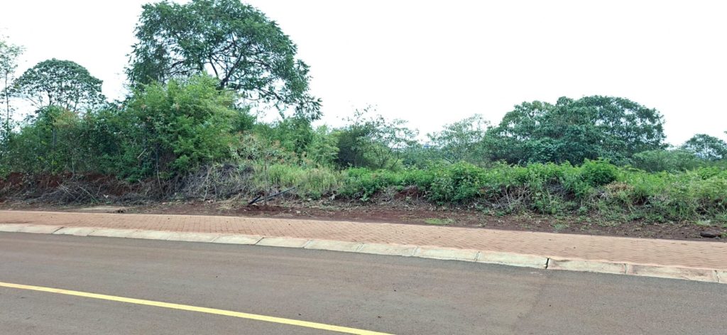 WhatsApp Image 2026 03 18 at 15.37.41