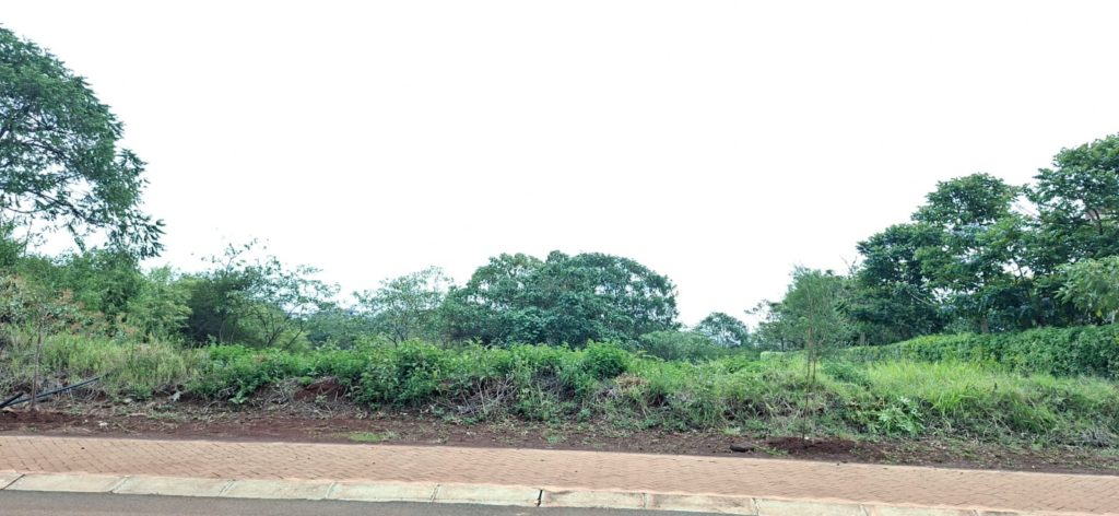 WhatsApp Image 2026 03 18 at 15.37.42 3