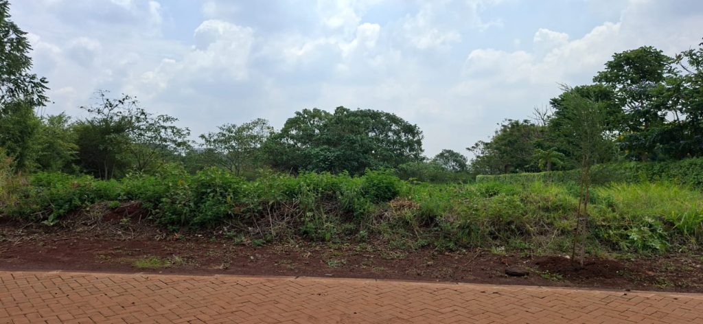 WhatsApp Image 2026 03 18 at 15.37.42 4