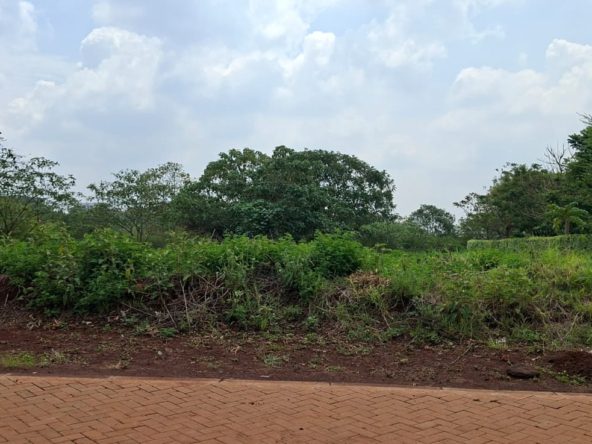 WhatsApp Image 2026 03 18 at 15.37.42 4