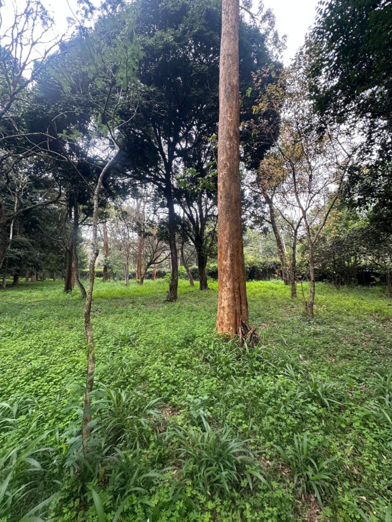 WhatsApp Image 2026 03 18 at 3.46.12 PM 2