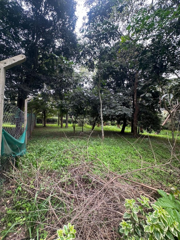 WhatsApp Image 2026 03 18 at 3.46.12 PM 7