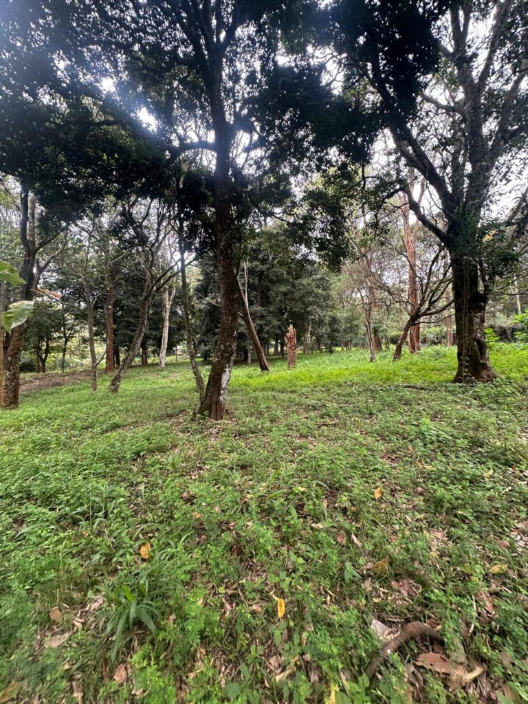 WhatsApp Image 2026 03 18 at 3.46.12 PM