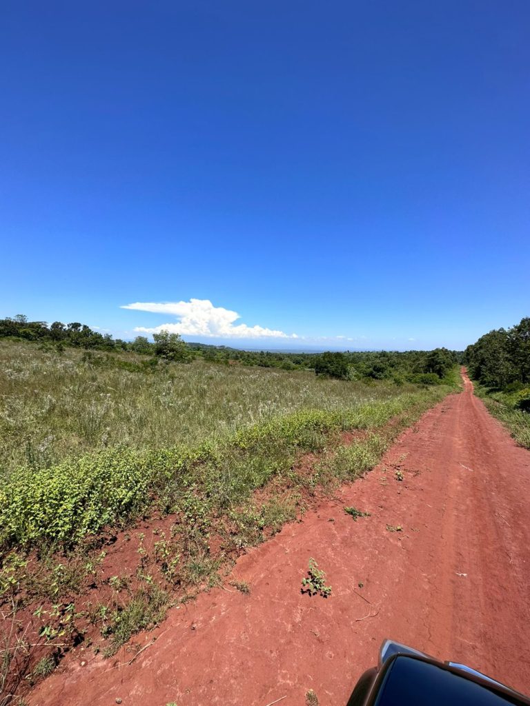 WhatsApp Image 2026 03 20 at 7.51.17 PM 3