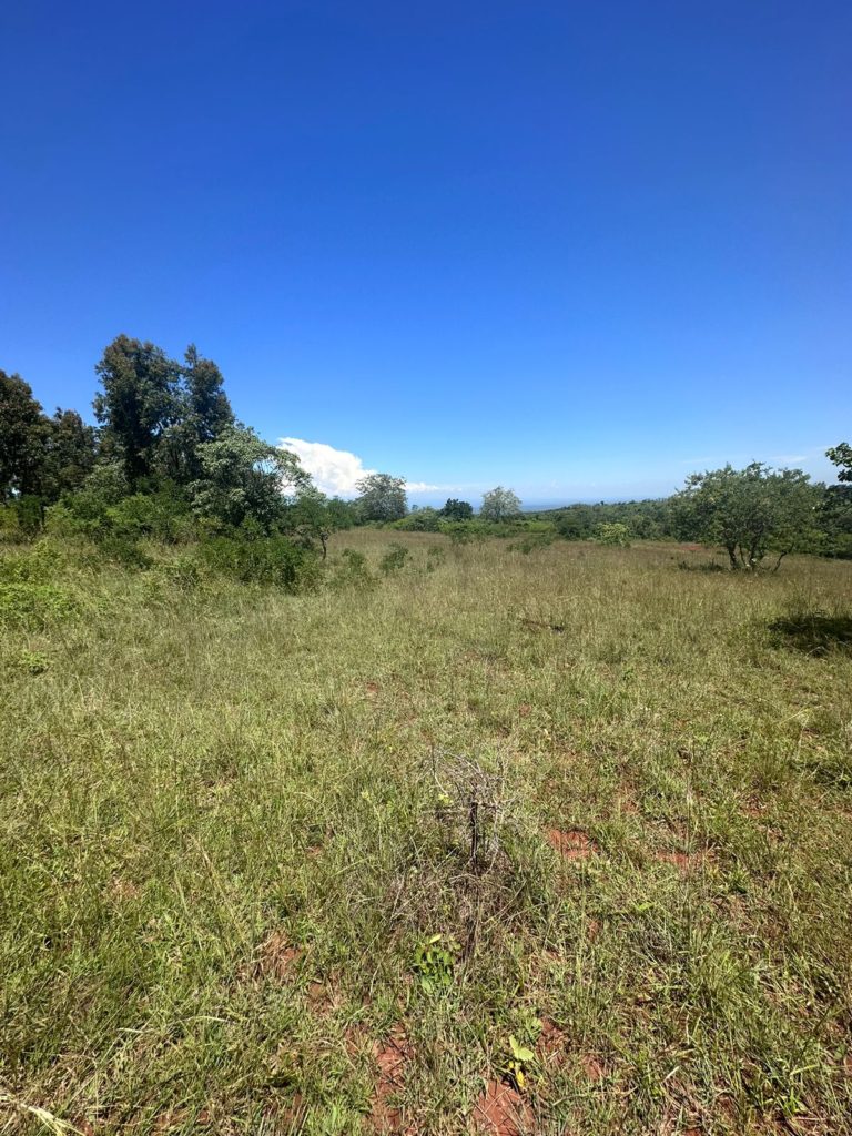 WhatsApp Image 2026 03 20 at 7.51.17 PM