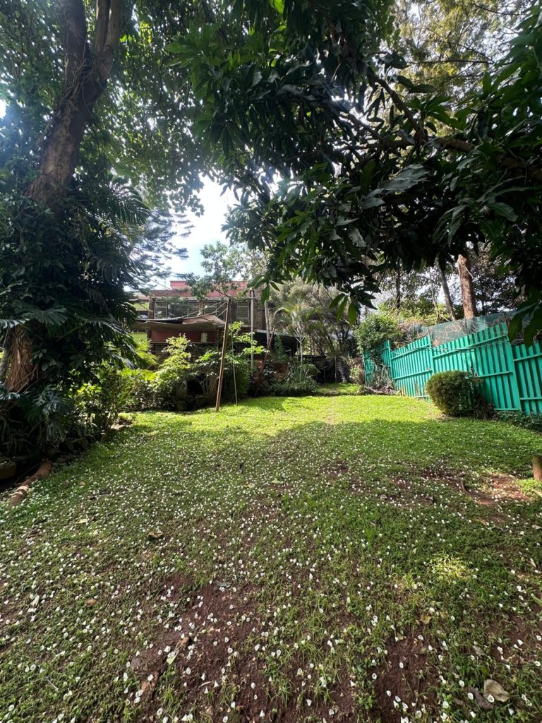 WhatsApp Image 2026 03 20 at 9.42.27 PM 11