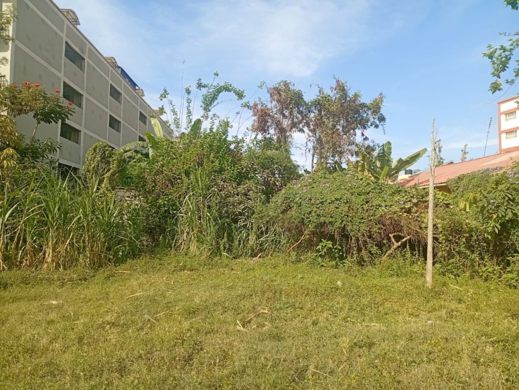 WhatsApp Image 2026 03 30 at 1.15.54 PM