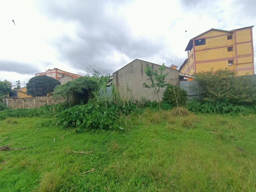 WhatsApp Image 2026 03 30 at 1.16.45 PM