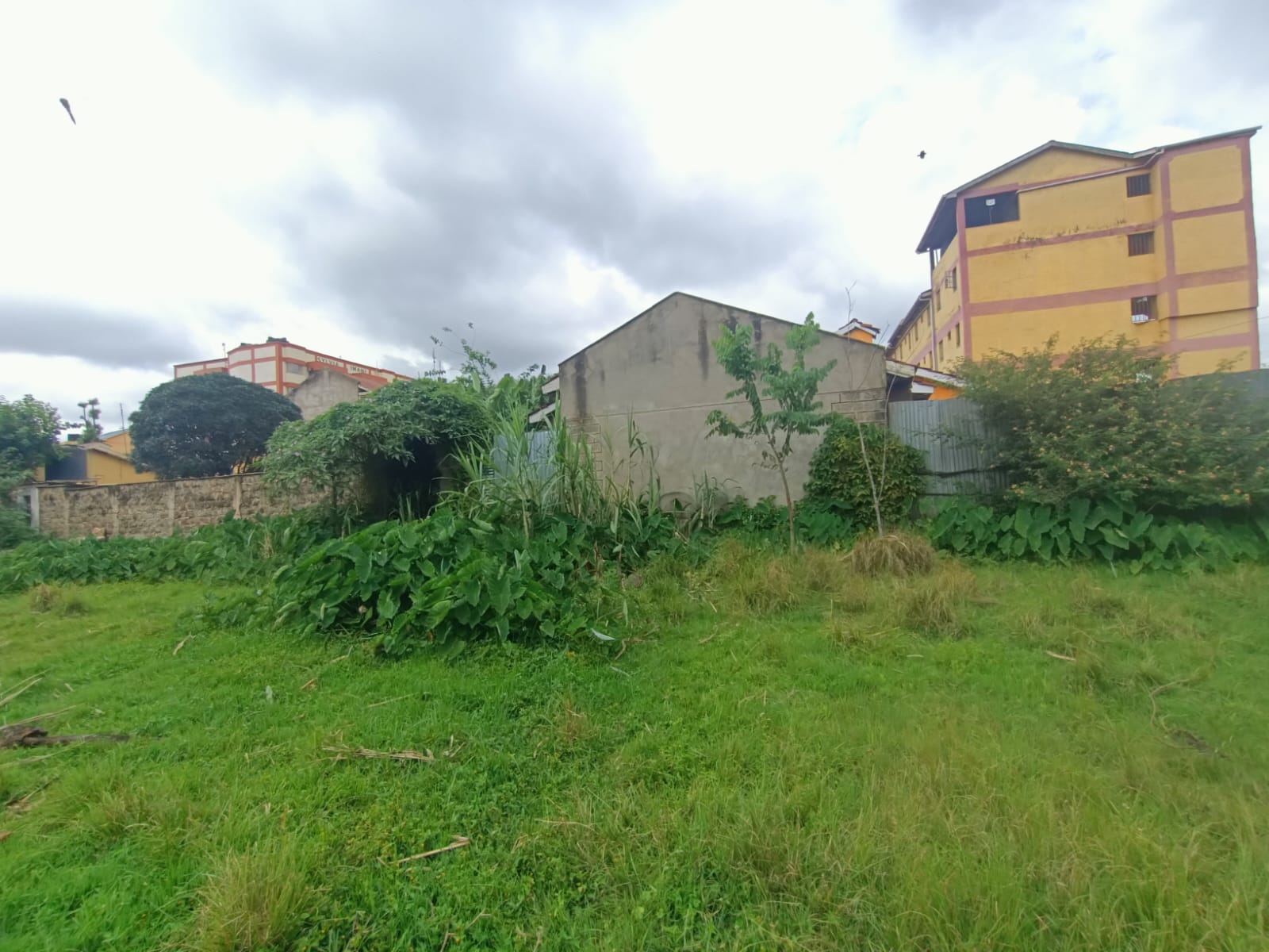 WhatsApp Image 2026 03 30 at 1.16.45 PM