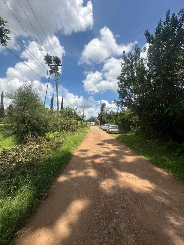 WhatsApp Image 2026 04 01 at 3.13.53 PM