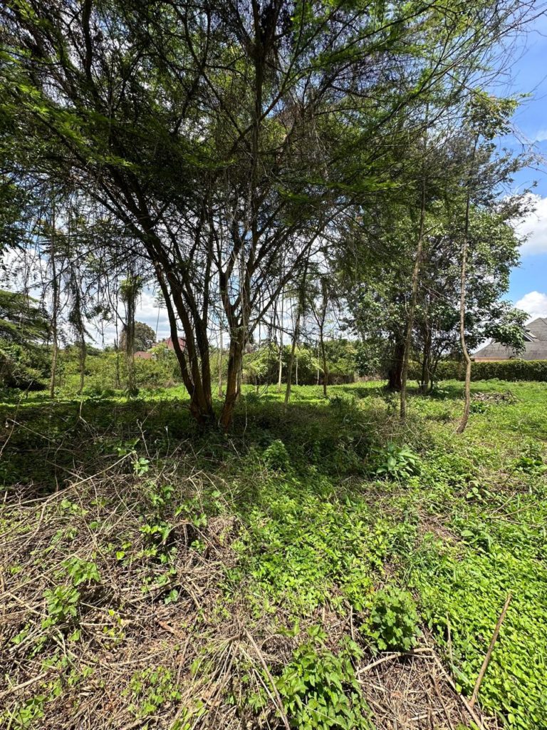 WhatsApp Image 2026 04 01 at 3.16.40 PM 10