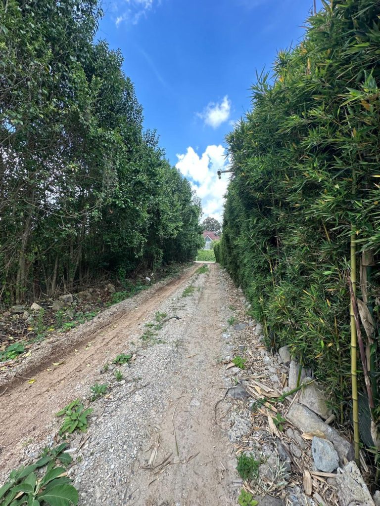 WhatsApp Image 2026 04 01 at 3.16.40 PM 6