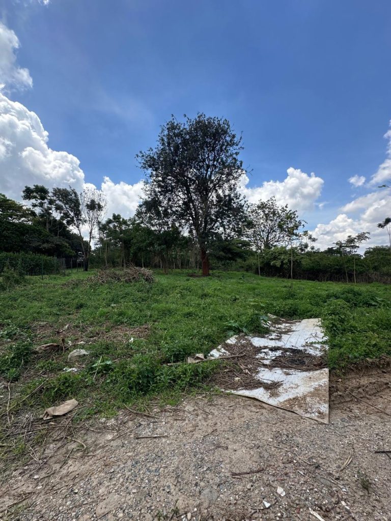 WhatsApp Image 2026 04 01 at 3.16.40 PM 7