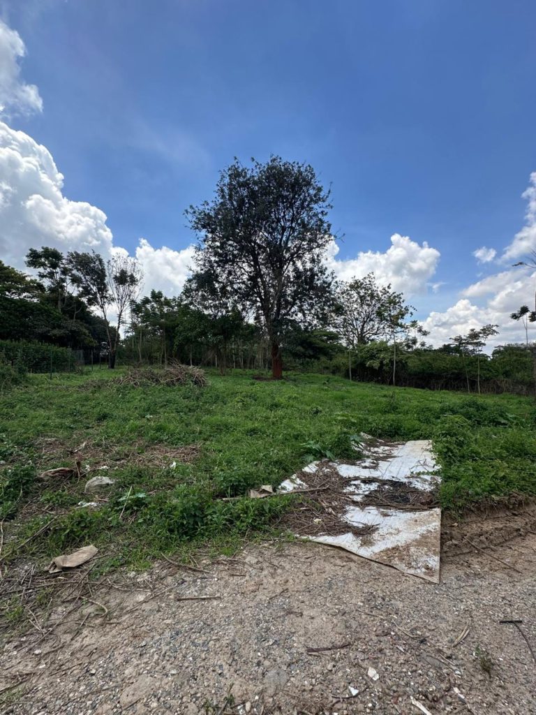 WhatsApp Image 2026 04 01 at 3.16.40 PM 8