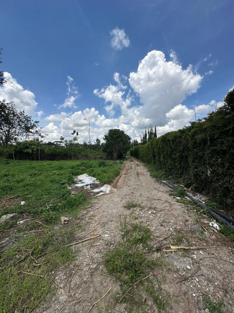 WhatsApp Image 2026 04 01 at 3.16.40 PM 9