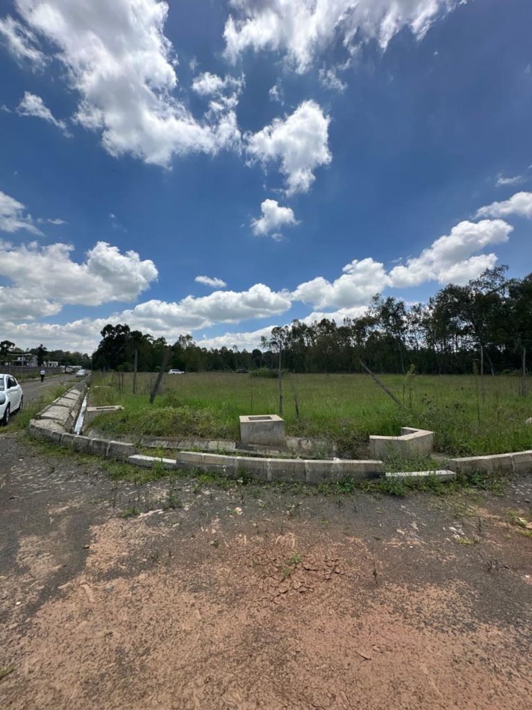 WhatsApp Image 2026 04 02 at 1.16.35 PM 2