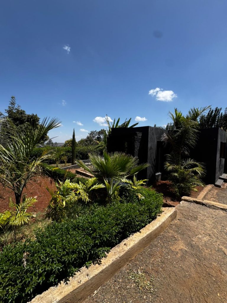 WhatsApp Image 2026 04 02 at 3.00.38 PM 1