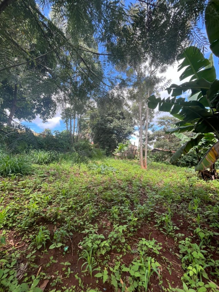 WhatsApp Image 2026 04 02 at 9.31.01 AM