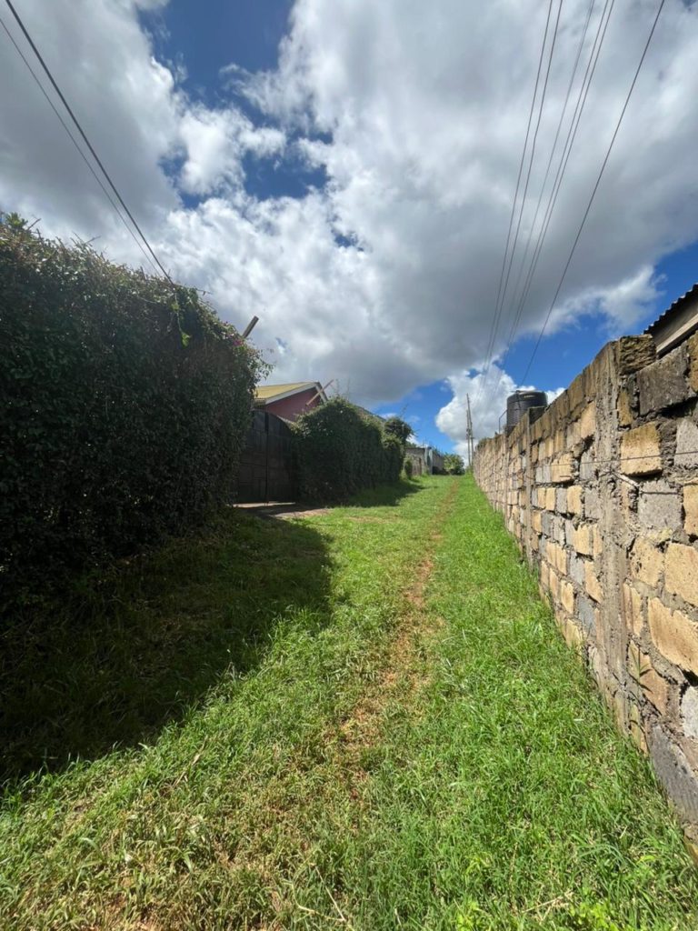 WhatsApp Image 2026 04 02 at 9.31.02 AM