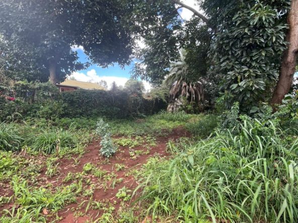 WhatsApp Image 2026 04 02 at 9.31.03 AM 3