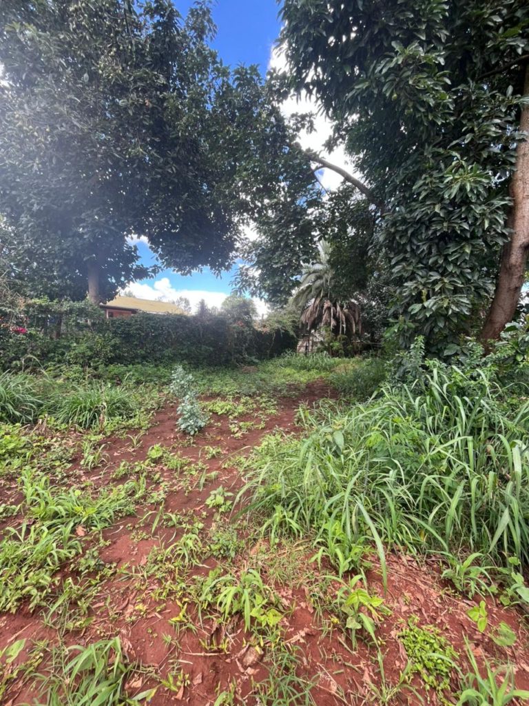 WhatsApp Image 2026 04 02 at 9.31.03 AM