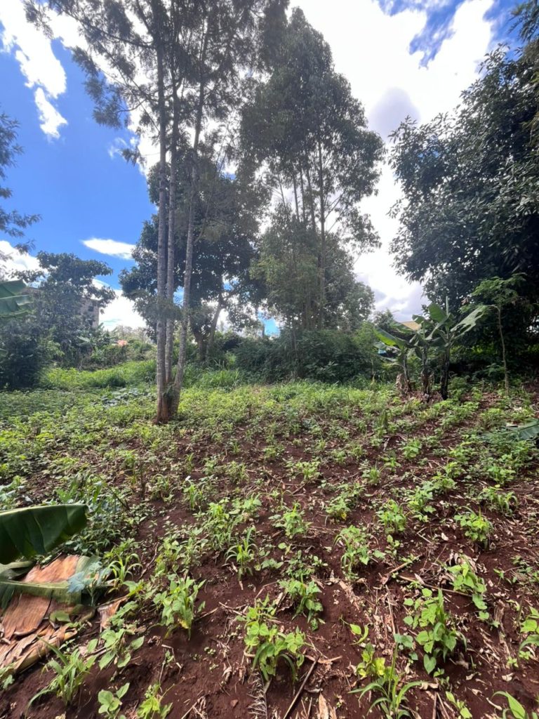 WhatsApp Image 2026 04 02 at 9.31.04 AM 1