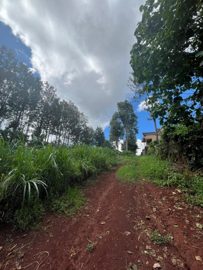 WhatsApp Image 2026 04 02 at 9.31.04 AM